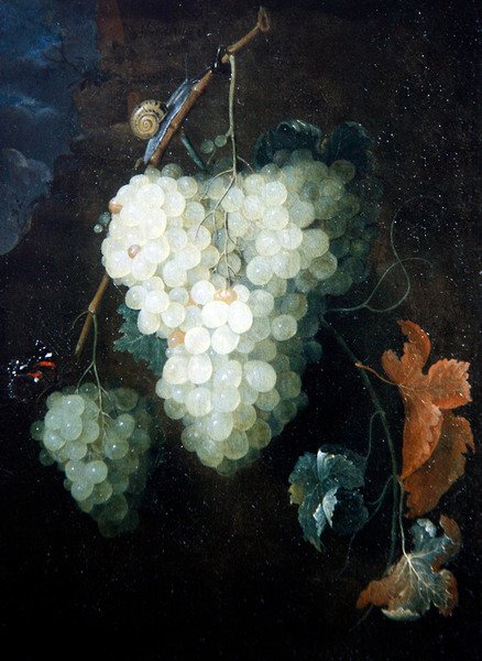 Uma Natureza Morta com Uvas, um Almirante Vermelho e um Caracol de Thomas Mertens