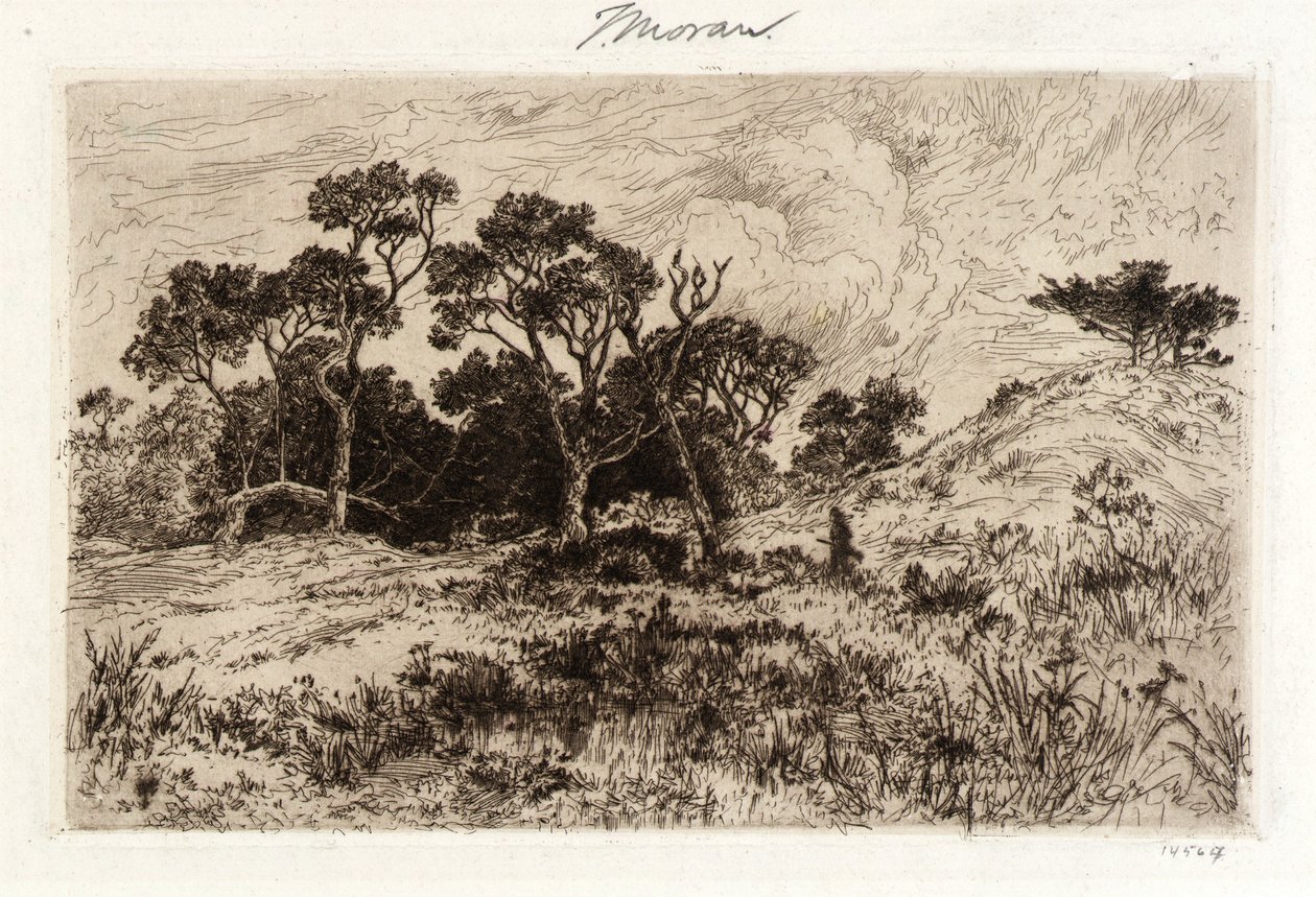 Um vento do sul de Thomas Moran