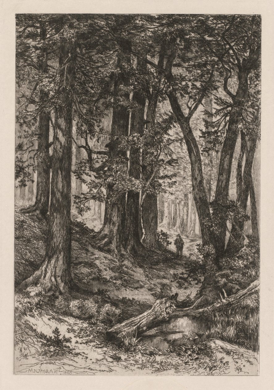 Interior de uma floresta da Califórnia (segundo Thomas Moran (americano) de Thomas Moran