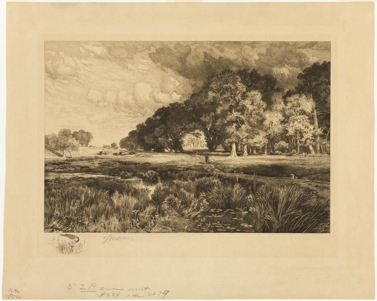 Paisagem de Long Island de Thomas Moran