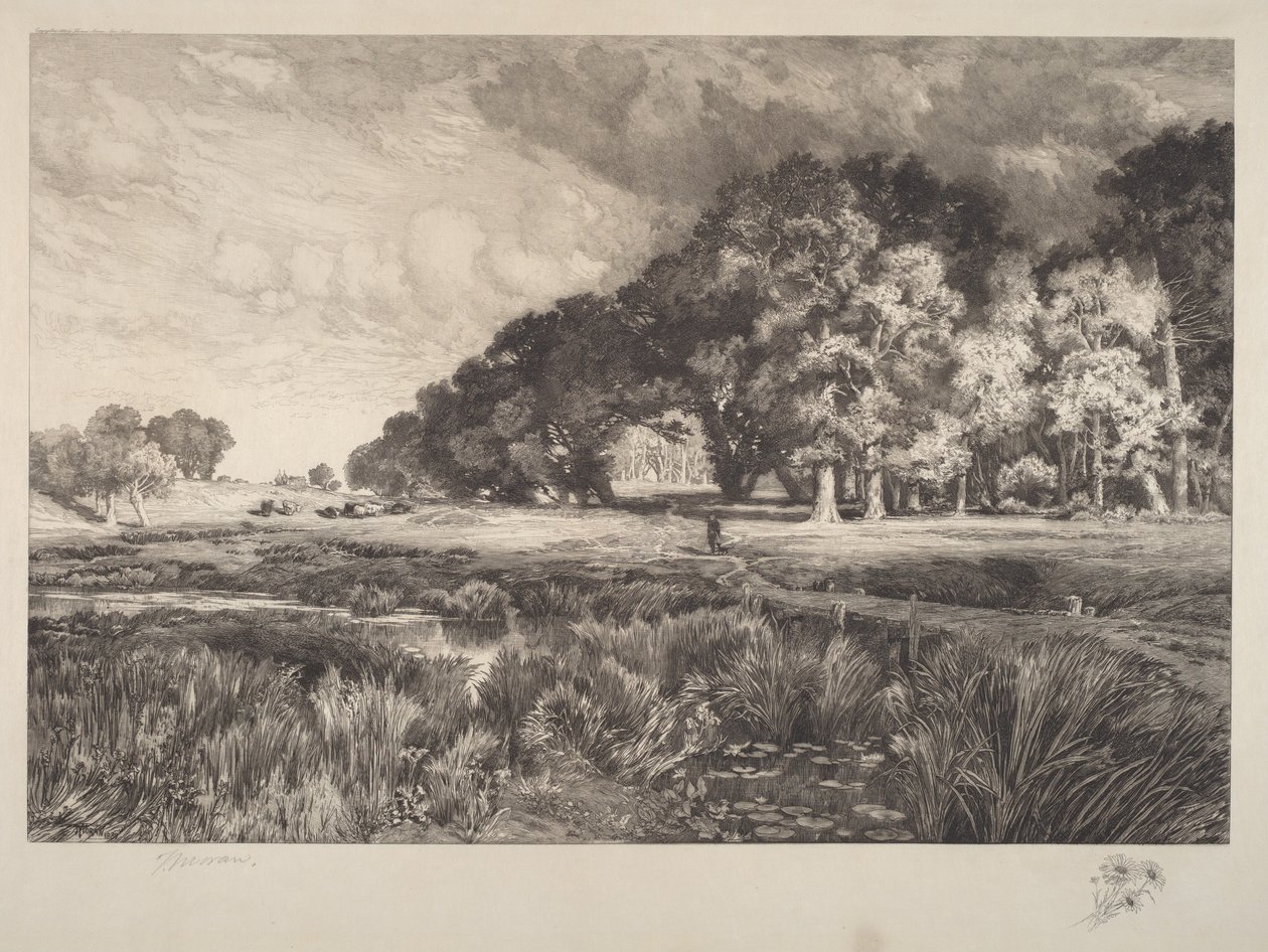 Paisagem de Long Island de Thomas Moran