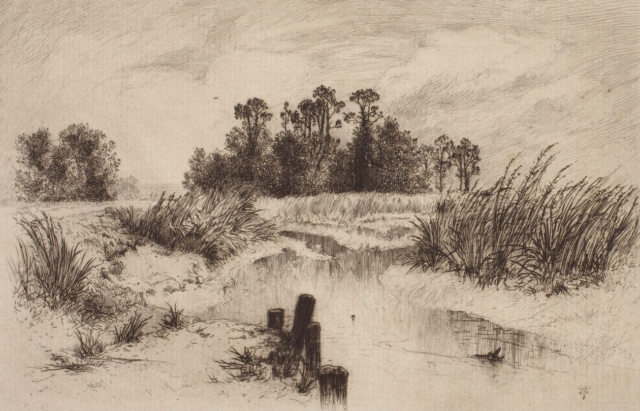 Paisagem pantanosa com ribeiro de Thomas Moran