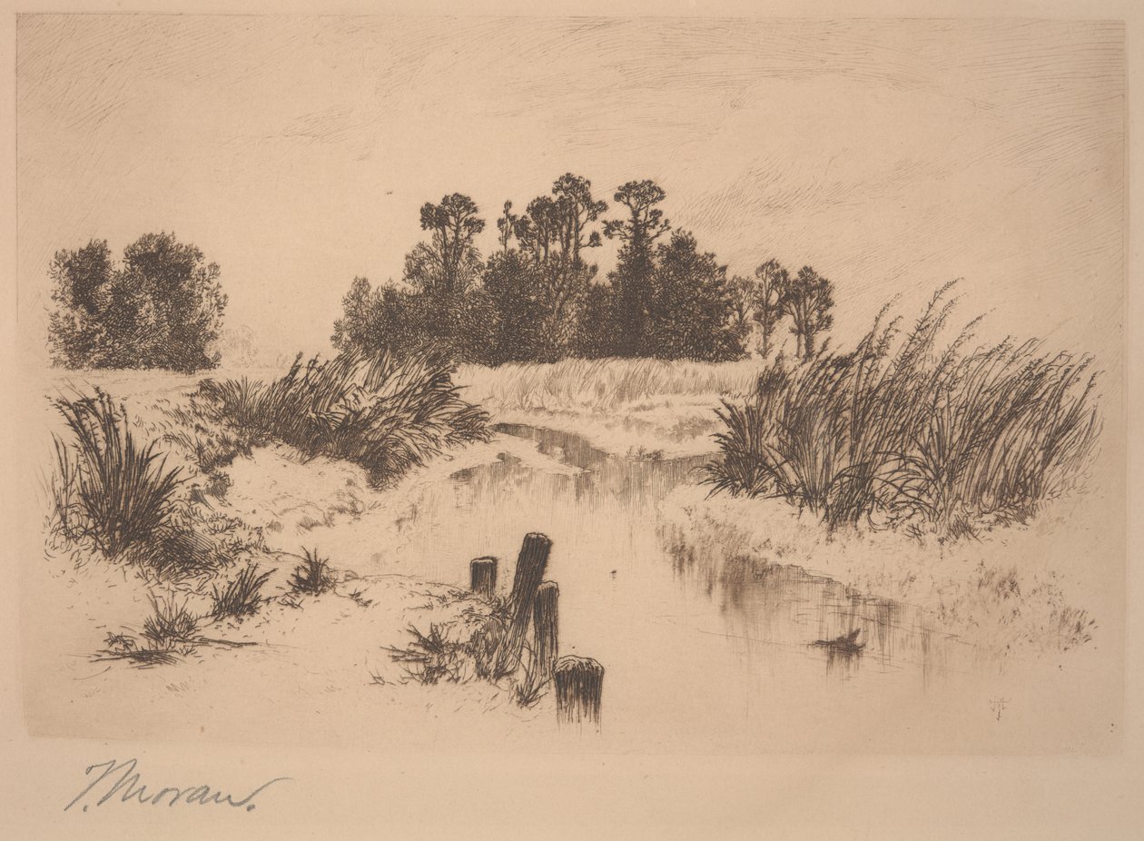 Passaic Meadows (em Newark Meadows) de Thomas Moran