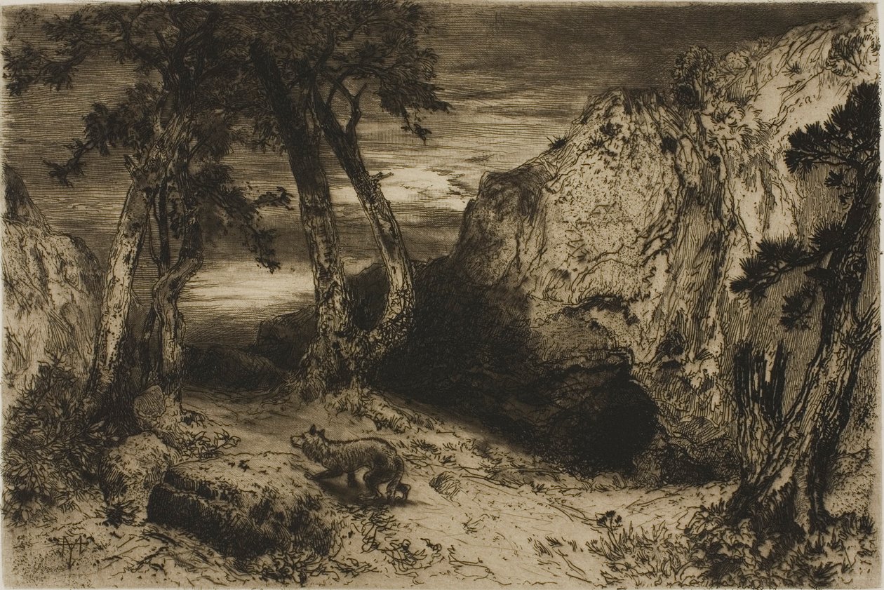O Coiote - Arizona de Thomas Moran