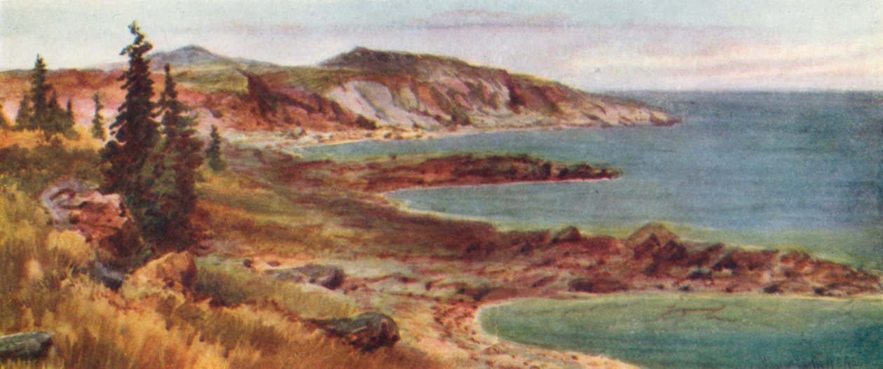 Costa Norte, Lago Superior (litografia a cores) de Thomas Mower Martin