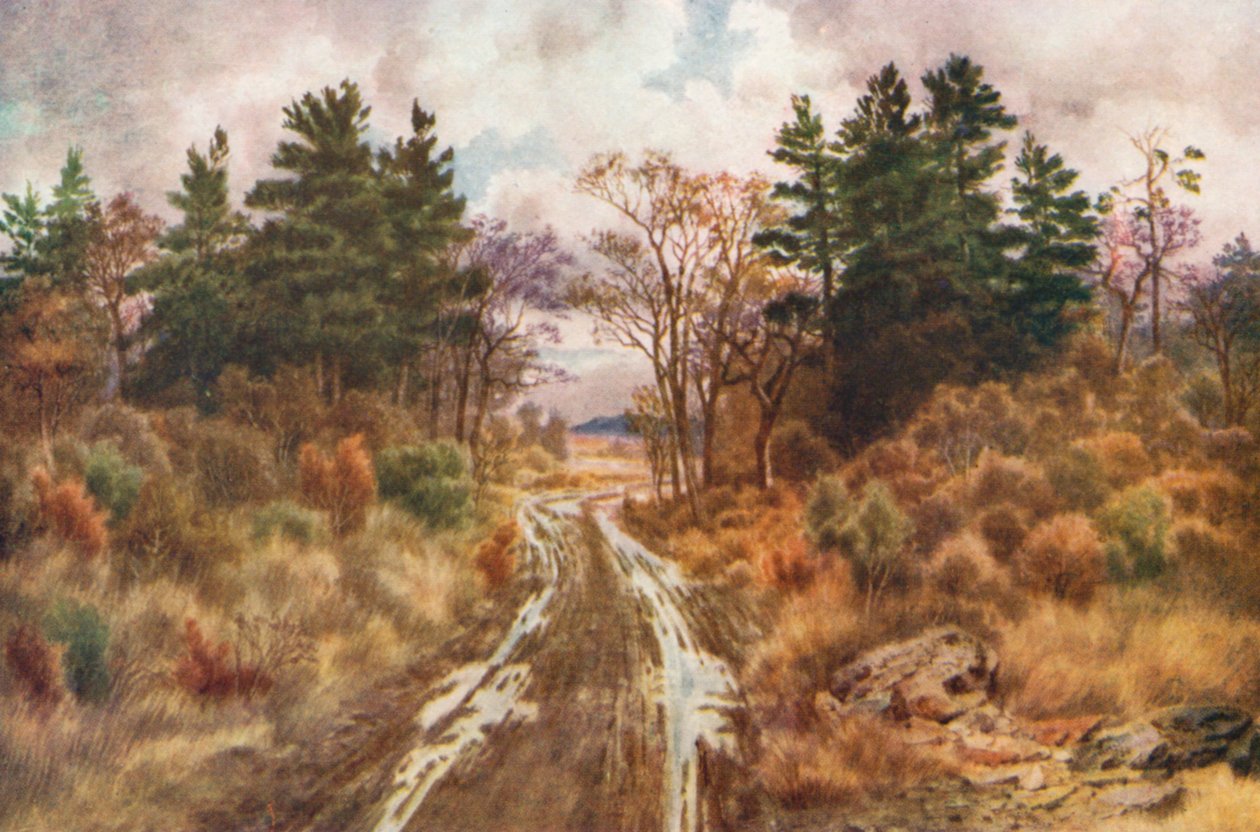 Estrada perto da Baía de Fundy, outono (litografia a cores) de Thomas Mower Martin