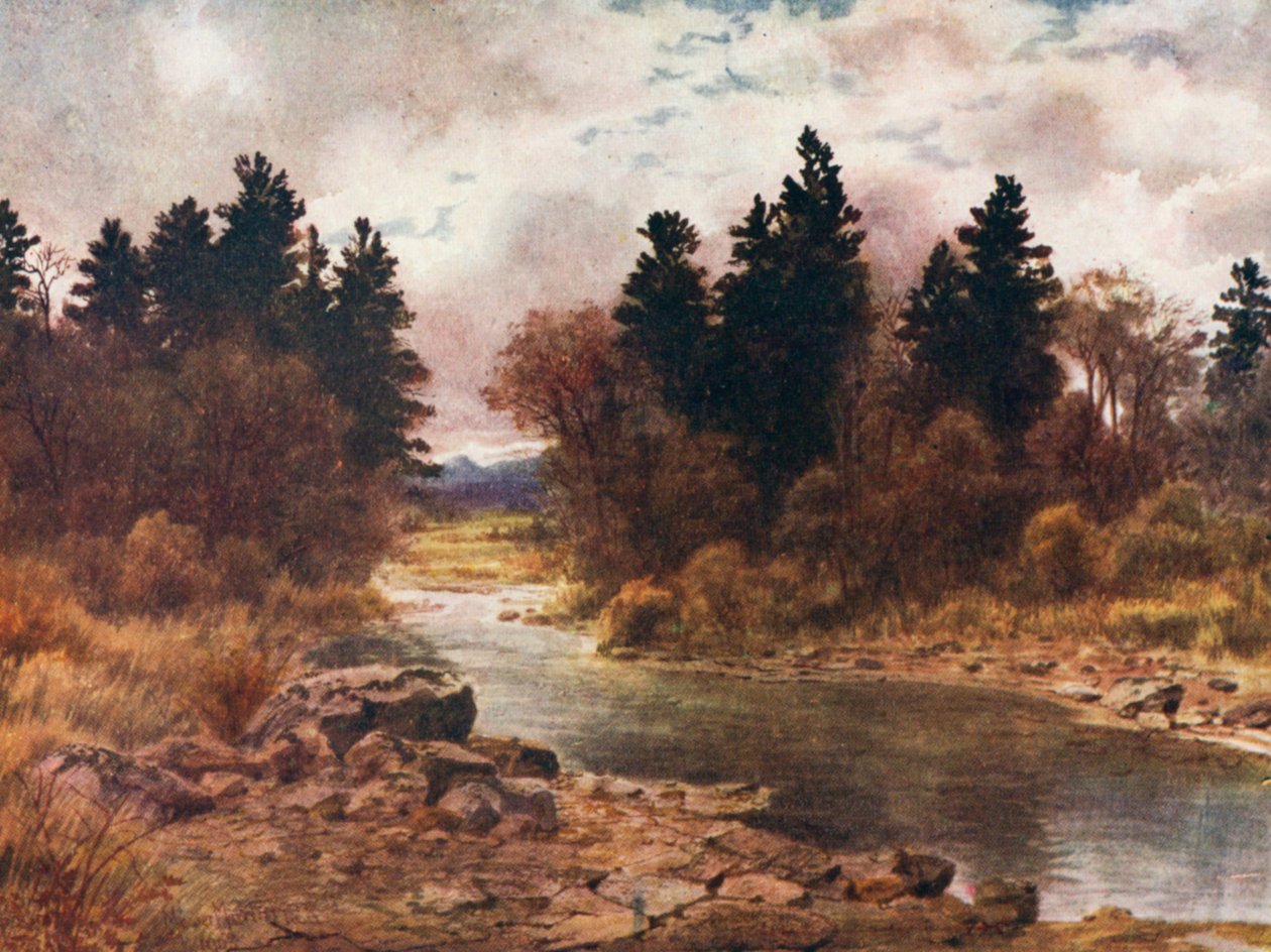 inverno na ilha de Vancouver, na Colúmbia Britânica (litografia a cores) de Thomas Mower Martin