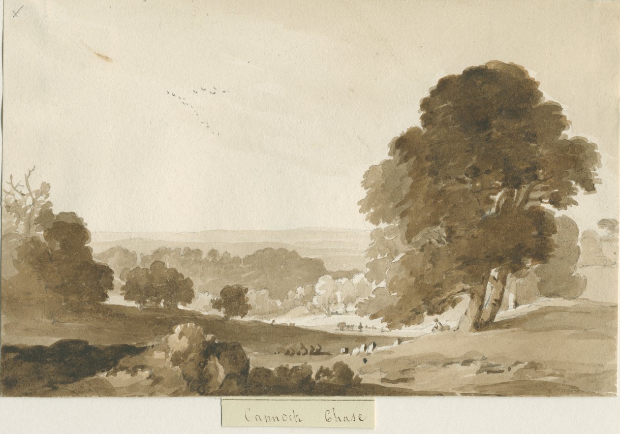 Cannock Chase: desenho em sépia, nd [ 1839] de Thomas Peploe Wood