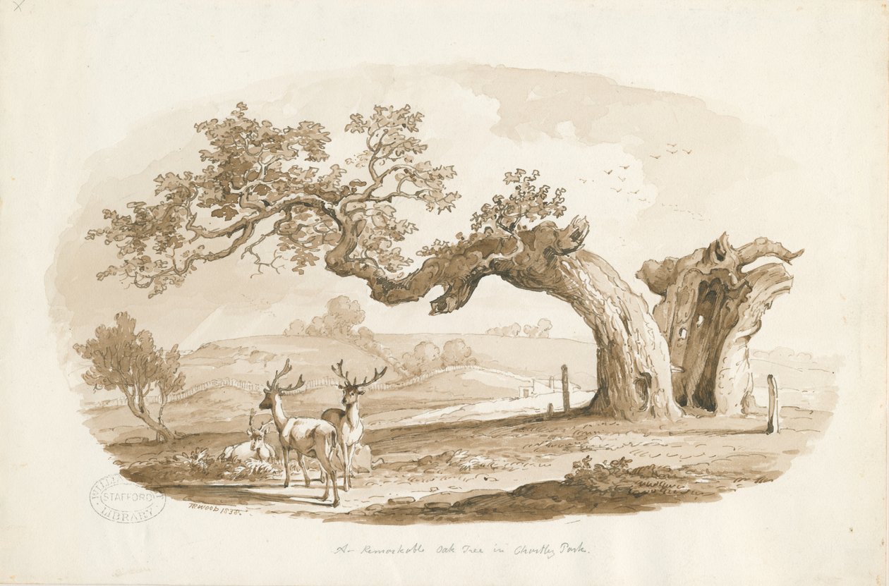 Chartley Hall - Park: desenho em sépia (vinheta) de Thomas Peploe Wood