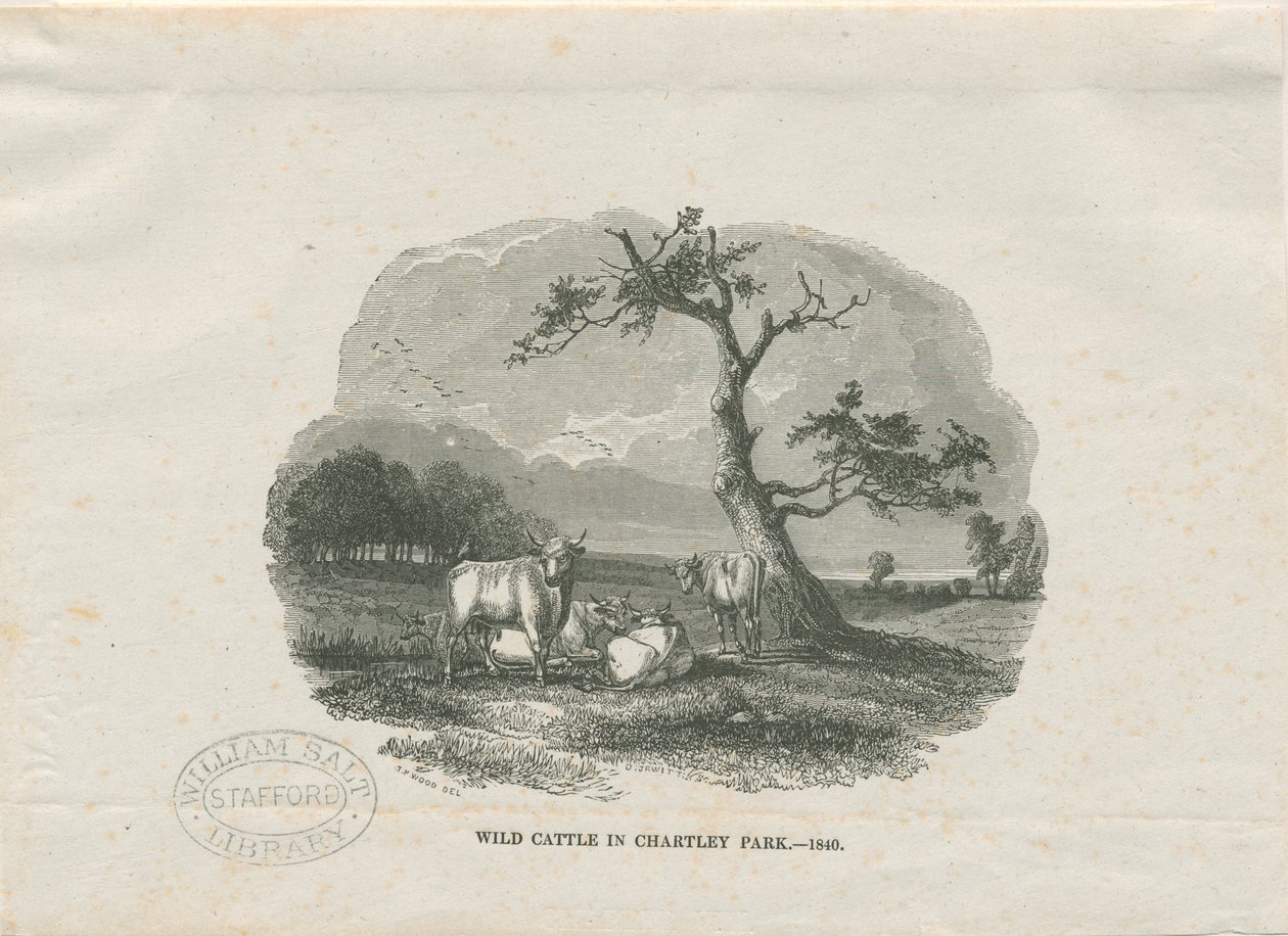 Chartley Hall - Park: gravura em xilogravura de Thomas Peploe Wood