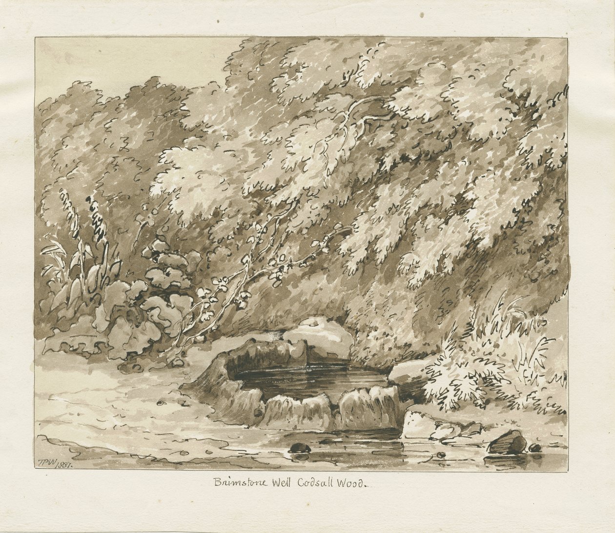 Codsall Wood - Brimstone Well: desenho sépia de Thomas Peploe Wood