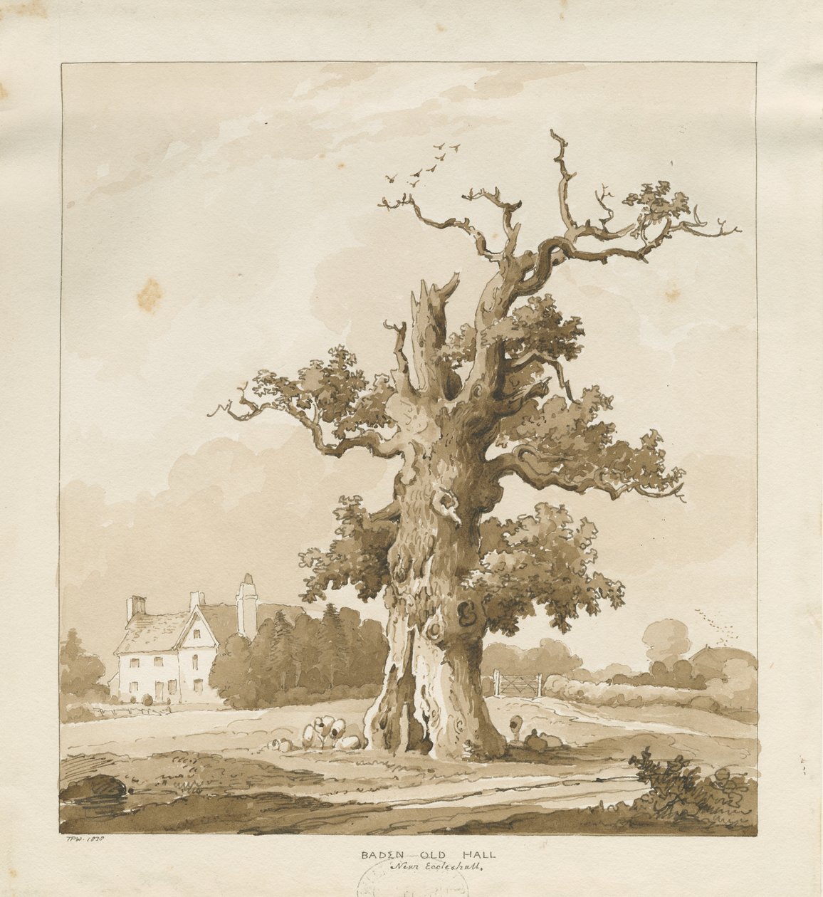 Eccleshall - Baden Old Hall: desenho em sépia de Thomas Peploe Wood