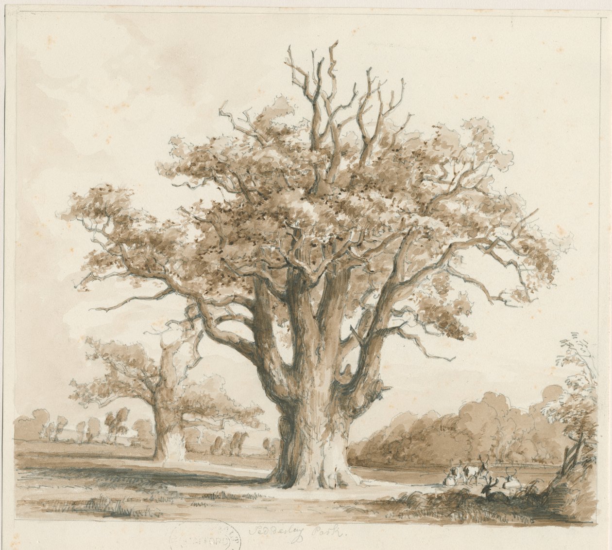 Teddesley Hall - Oak Trees: desenho a lápis e lavagem, nd [novembro de 1842] de Thomas Peploe Wood