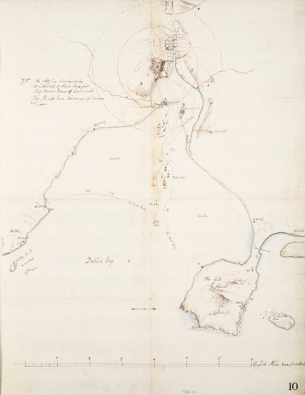Um dragão rufião da Baía de Dublin de Thomas Phillips