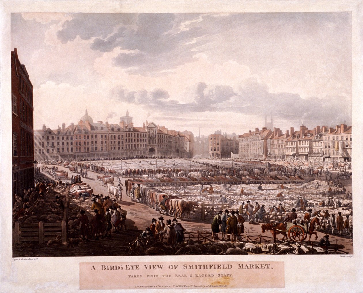 Smithfield Market, Londres, 1811 de Thomas Rowlandson, Augustus Charles Pugin