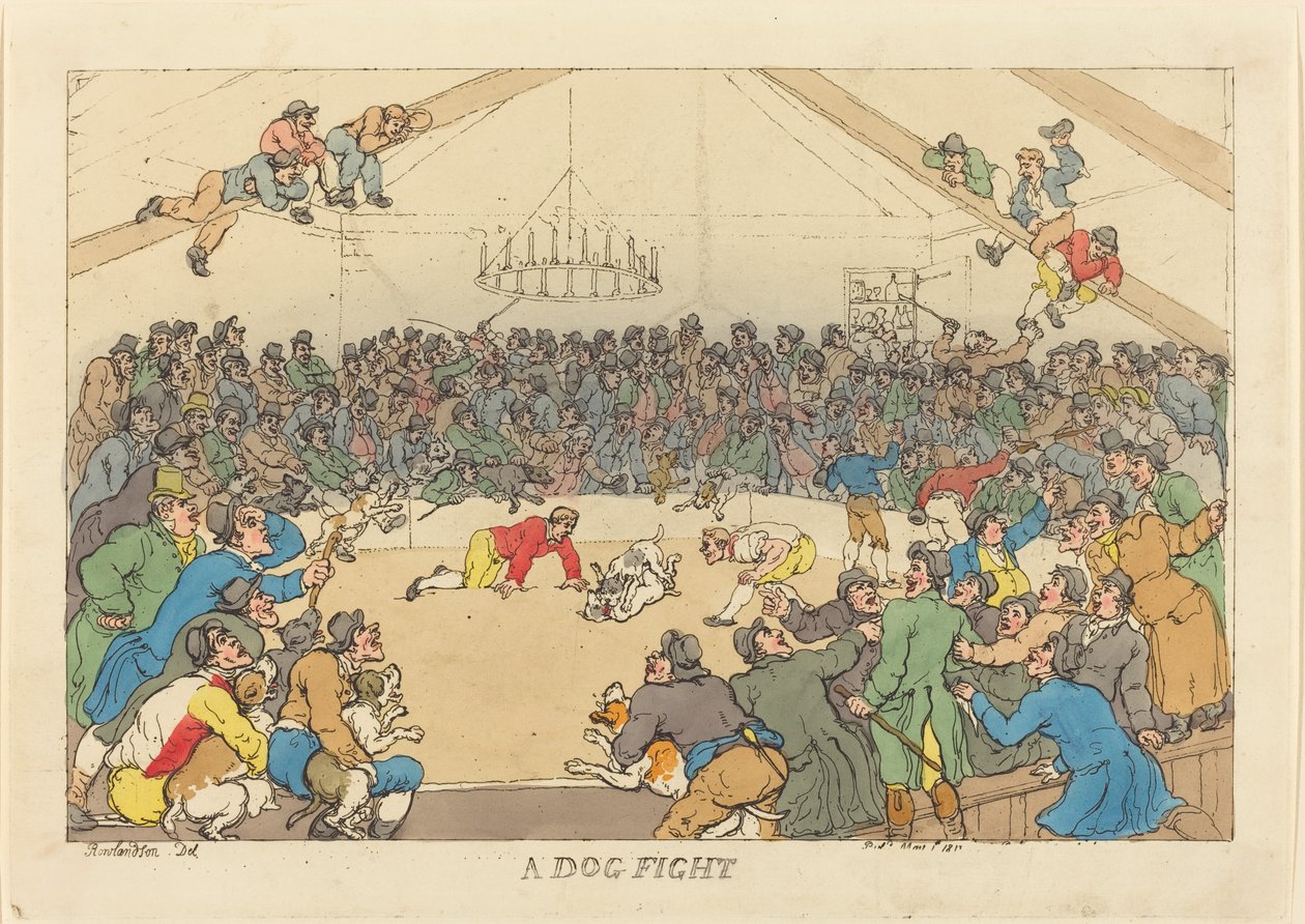 Uma briga de cachorro de Thomas Rowlandson