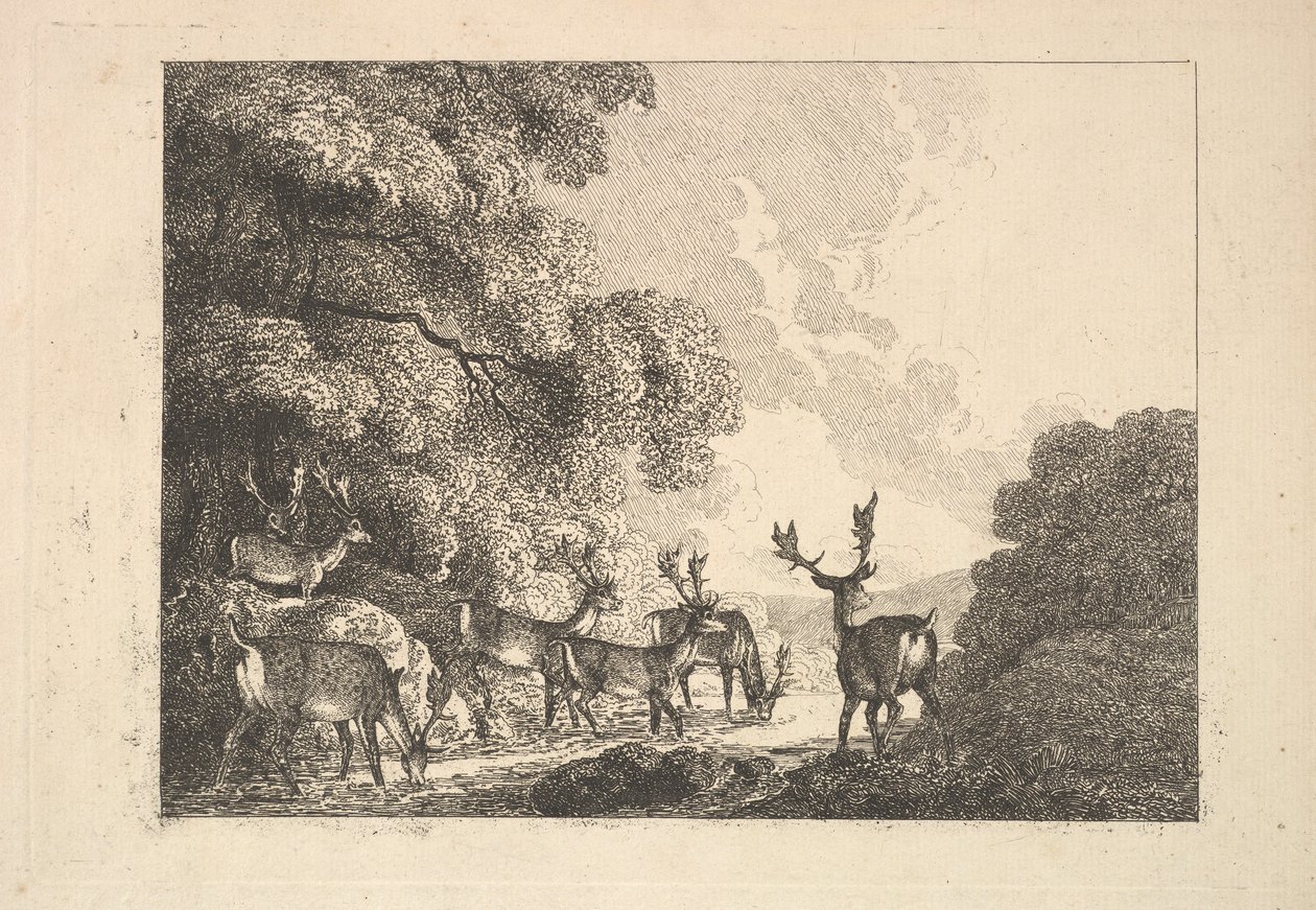 Um grupo de veados bebendo, 1784-88. de Thomas Rowlandson