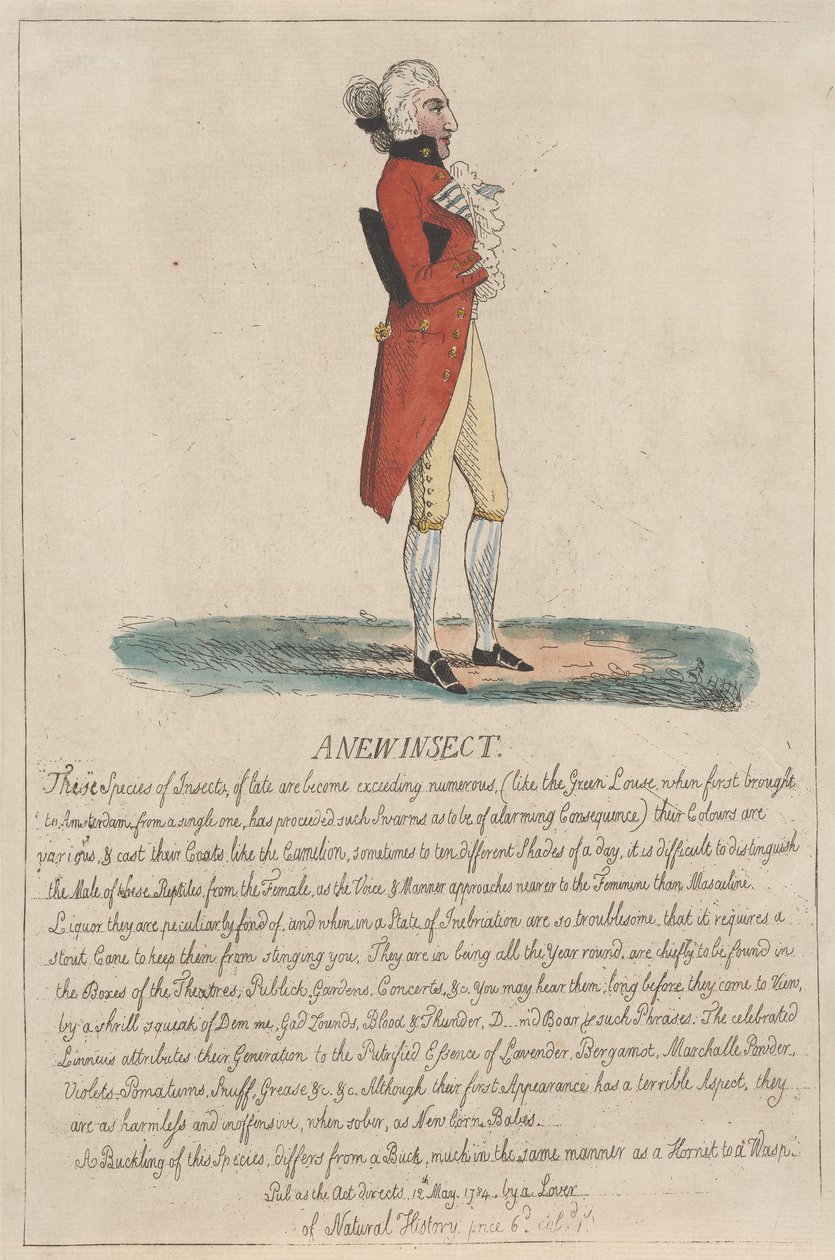 Um novo inseto de Thomas Rowlandson