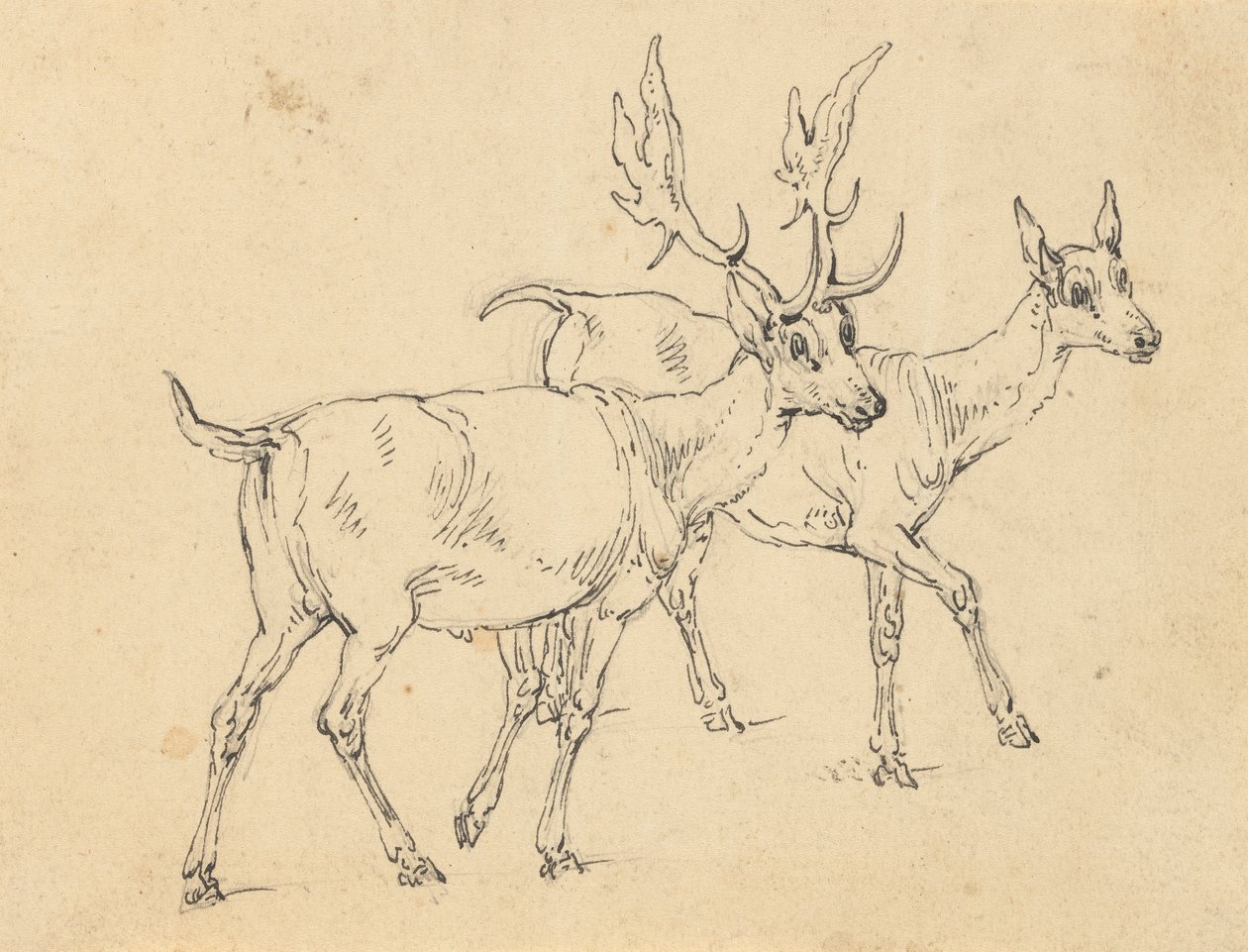 Desenho de álbuns de Thomas Rowlandson