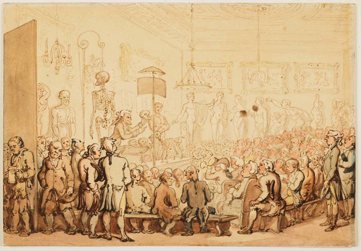 Uma palestra sobre anatomia na Academia Real de Artes de Thomas Rowlandson