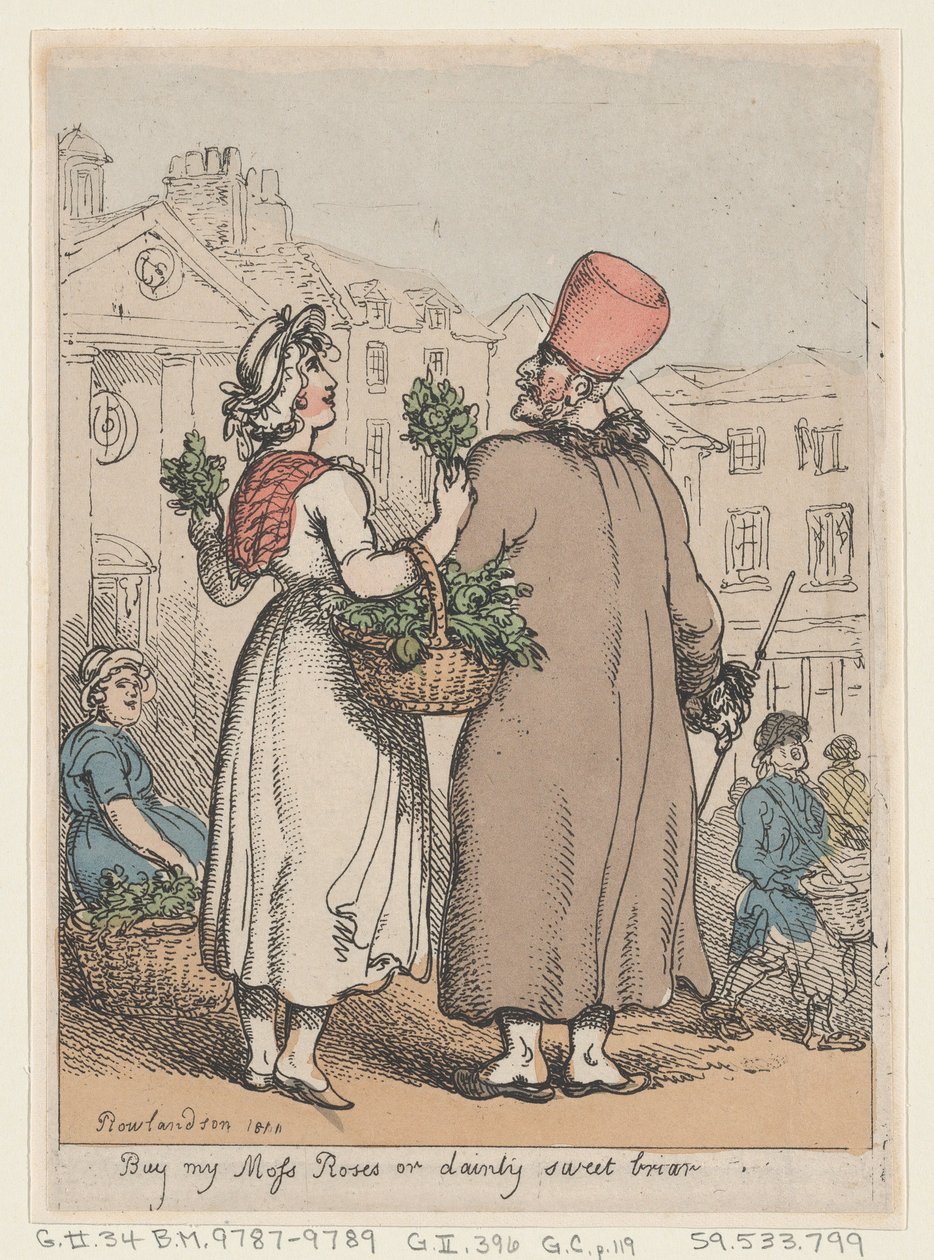 Compre My Moss Roses, or Dainty Sweet briar, 1811., 1811. de Thomas Rowlandson