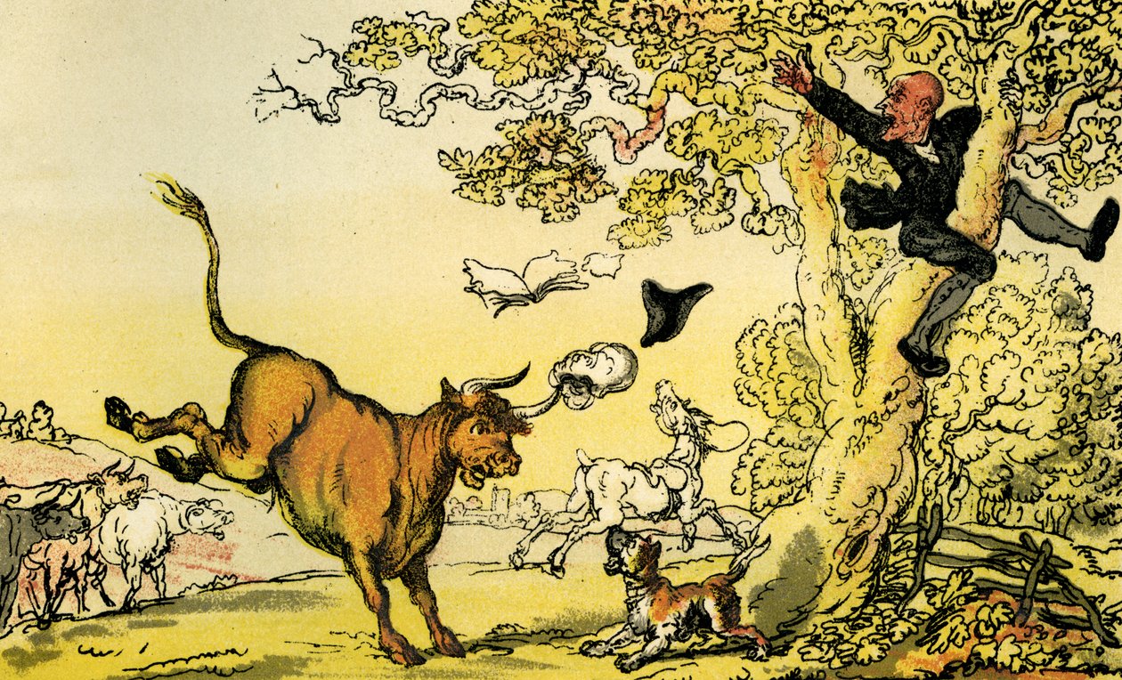 "Dr. Sintaxe perseguida por um touro de Thomas Rowlandson