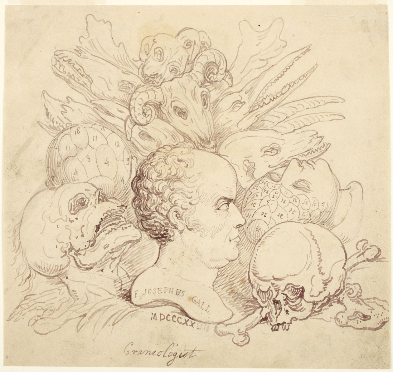 F. Josephus Gall, craniologista de Thomas Rowlandson
