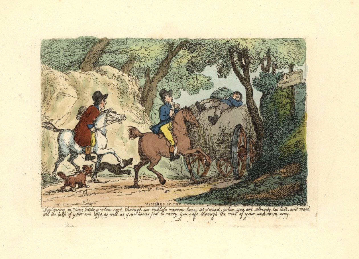 Homem a cavalo atrás de uma carroça de marcha lenta numa faixa estreita. de Thomas Rowlandson