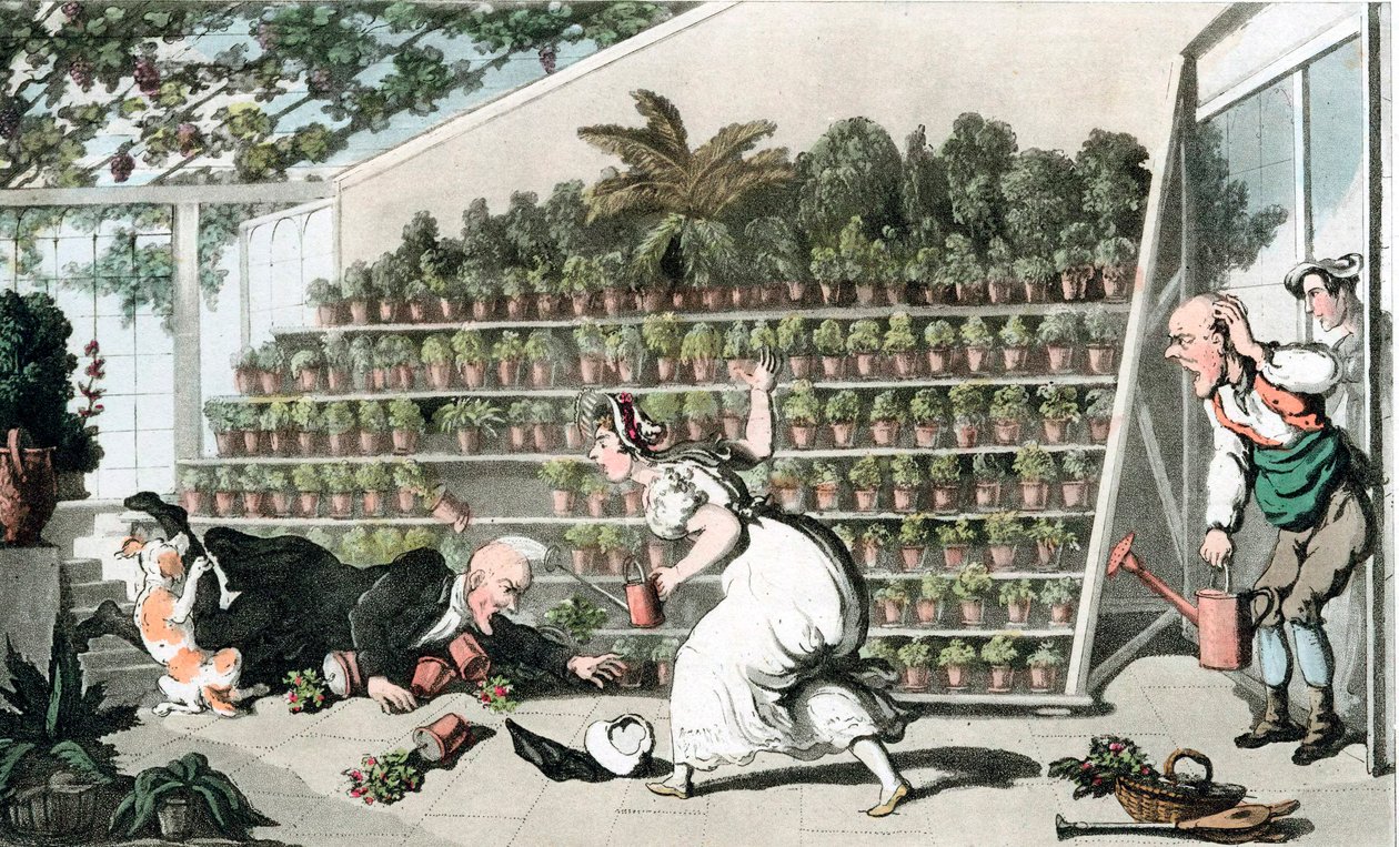 Infortúnio no Tulip Hall, c1816 de Thomas Rowlandson