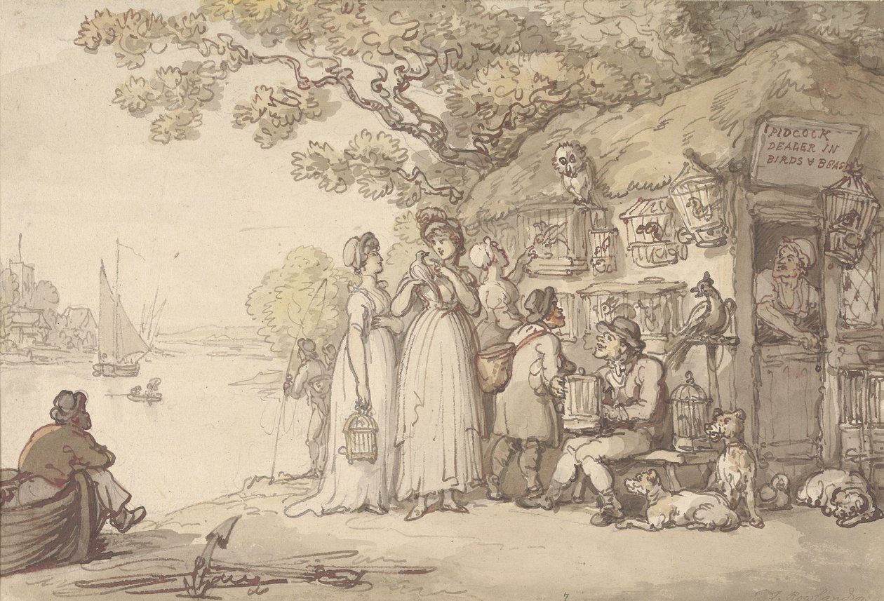 Pidcock, comerciante de aves e animais de Thomas Rowlandson