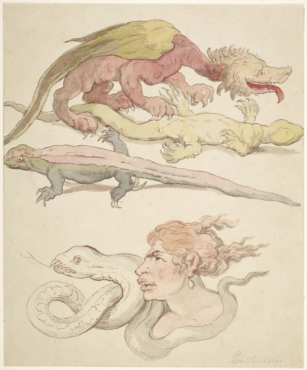 Répteis de Thomas Rowlandson