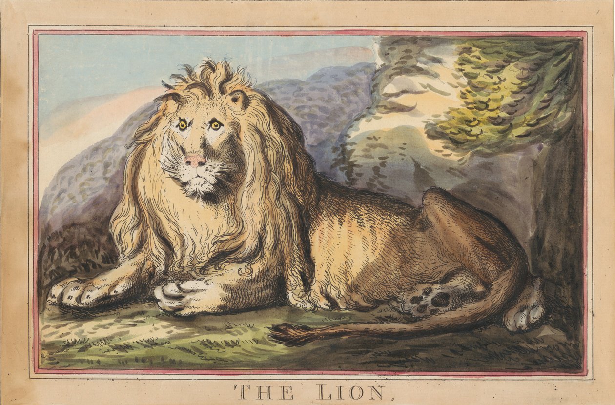 Conjunto de oito, com página de rosto. «Animais Estrangeiros e Nacionais». 3. A Leoa de Thomas Rowlandson
