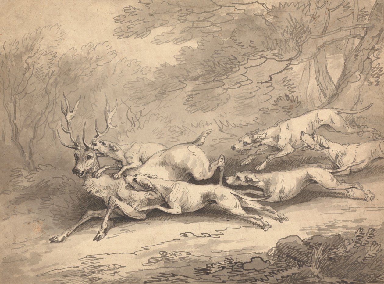 Veado abatido por uma matilha de cães de Thomas Rowlandson