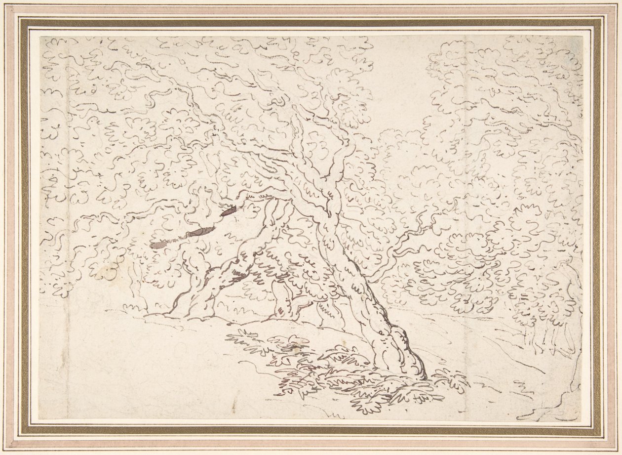 Estudo das árvores de Thomas Rowlandson