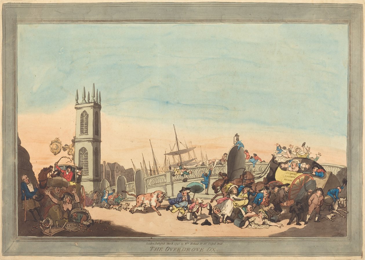 O Boi Exagerado de Thomas Rowlandson