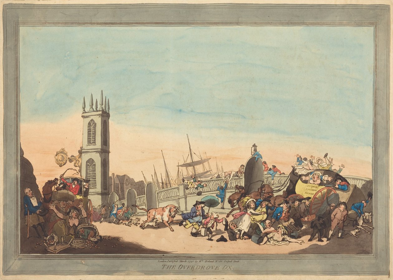 O Boi Overdrove de Thomas Rowlandson