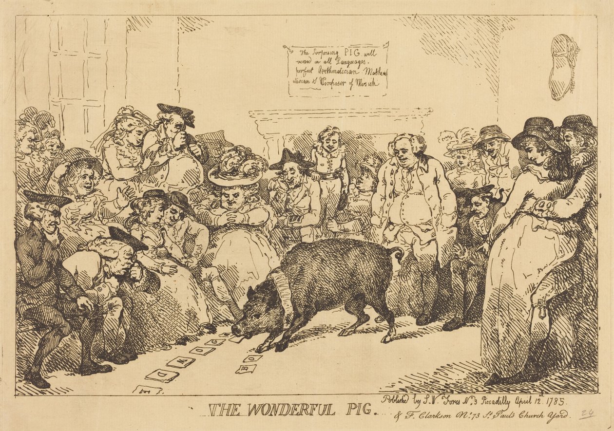 O Porco Maravilhoso de Thomas Rowlandson