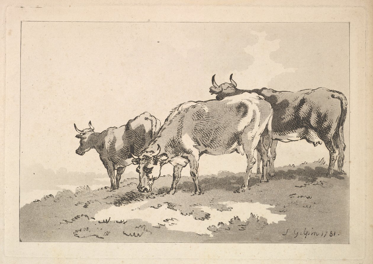 Três vacas em pé no cume de um campo, 1784-87. de Thomas Rowlandson