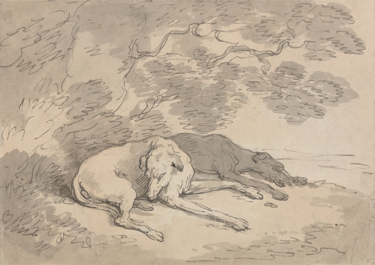 Dois galgos deitados debaixo de uma árvore de Thomas Rowlandson
