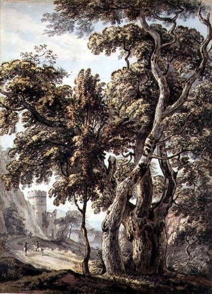 Estudo das árvores (caneta e tinta e aguarela sobre papel) de Thomas Sandby
