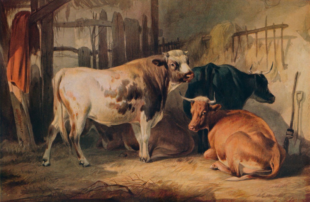 Um touro e três vacas em um estábulo, c1856 de Thomas Sidney Cooper