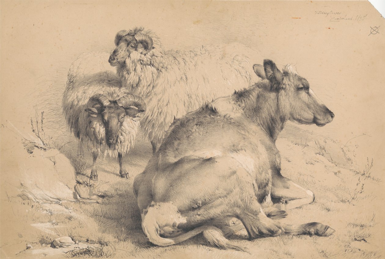 Uma vaca e dois carneiros de Thomas Sidney Cooper