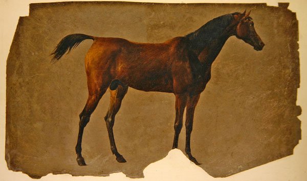 Um cavalo árabe (óleo sobre papel) de Thomas Sidney Cooper