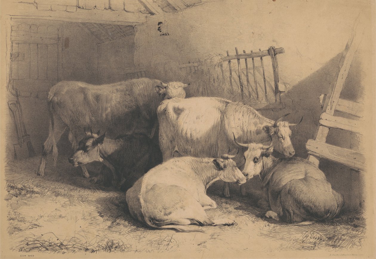 Curral de vacas de Thomas Sidney Cooper