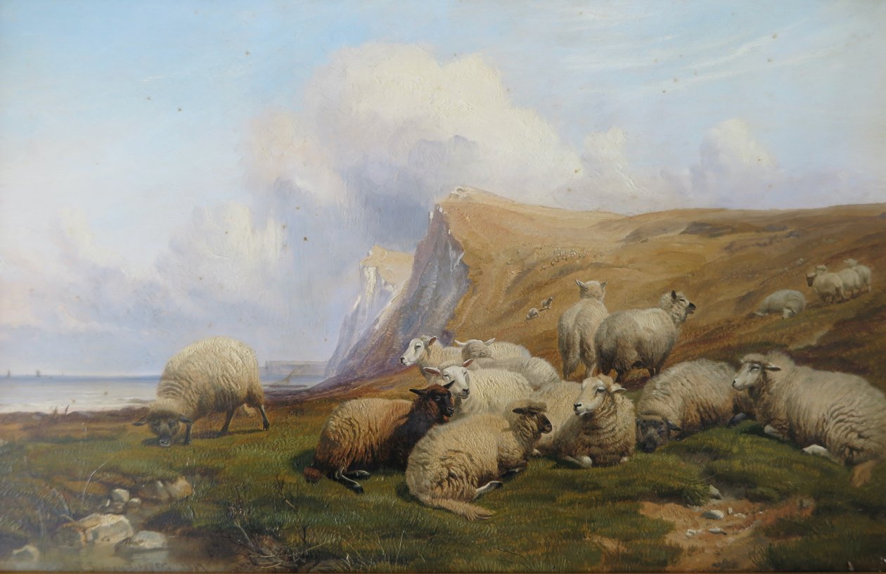 Shakespeare Cliff, Kent: Ovelhas em pastagens costeiras de Thomas Sidney Cooper