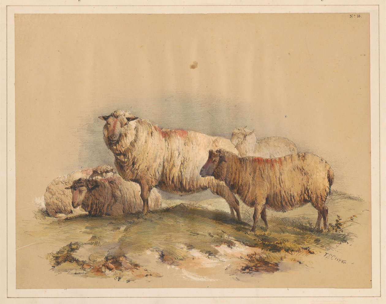 Ovelhas, n.º 18 de Thomas Sidney Cooper