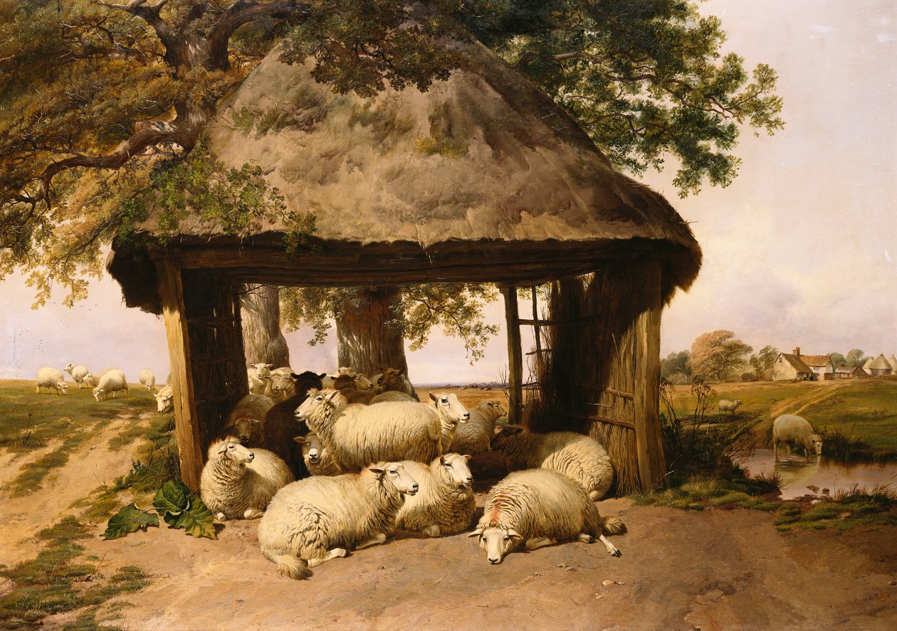 Ovelhas descansando sob um abrigo de Thomas Sidney Cooper