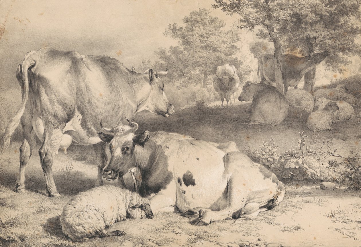 Ovelhas e gado bovino de Thomas Sidney Cooper