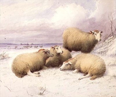 Ovelhas na neve (aguarela sobre papel) de Thomas Sidney Cooper