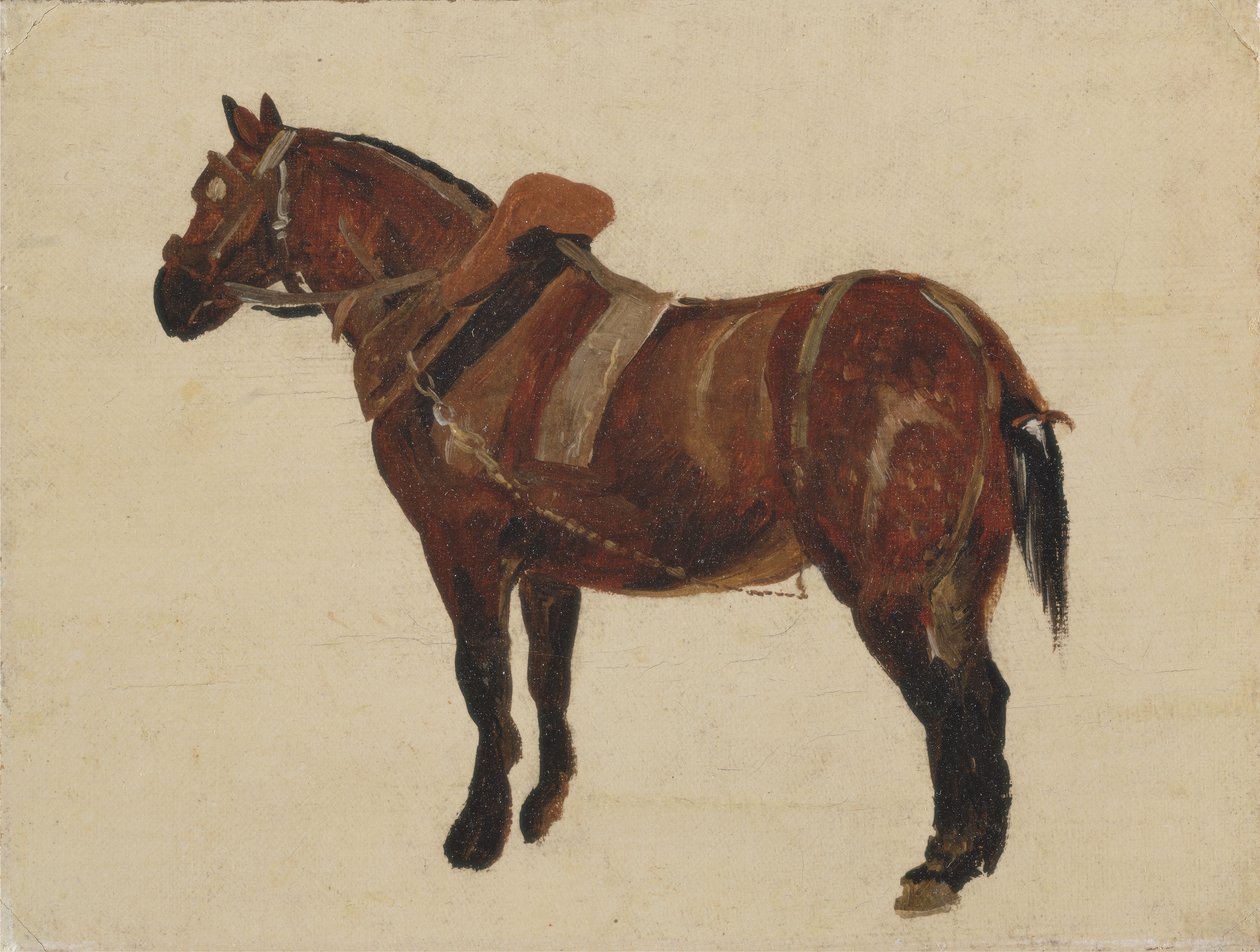 Estudo de um cavalo de trabalho (óleo sobre tela) de Thomas Sidney Cooper